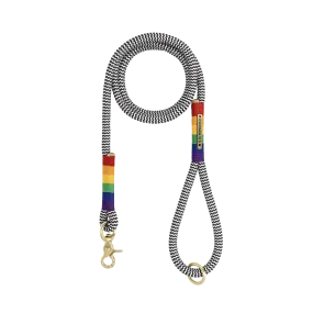 Everyday Dog Leash | Rainbow