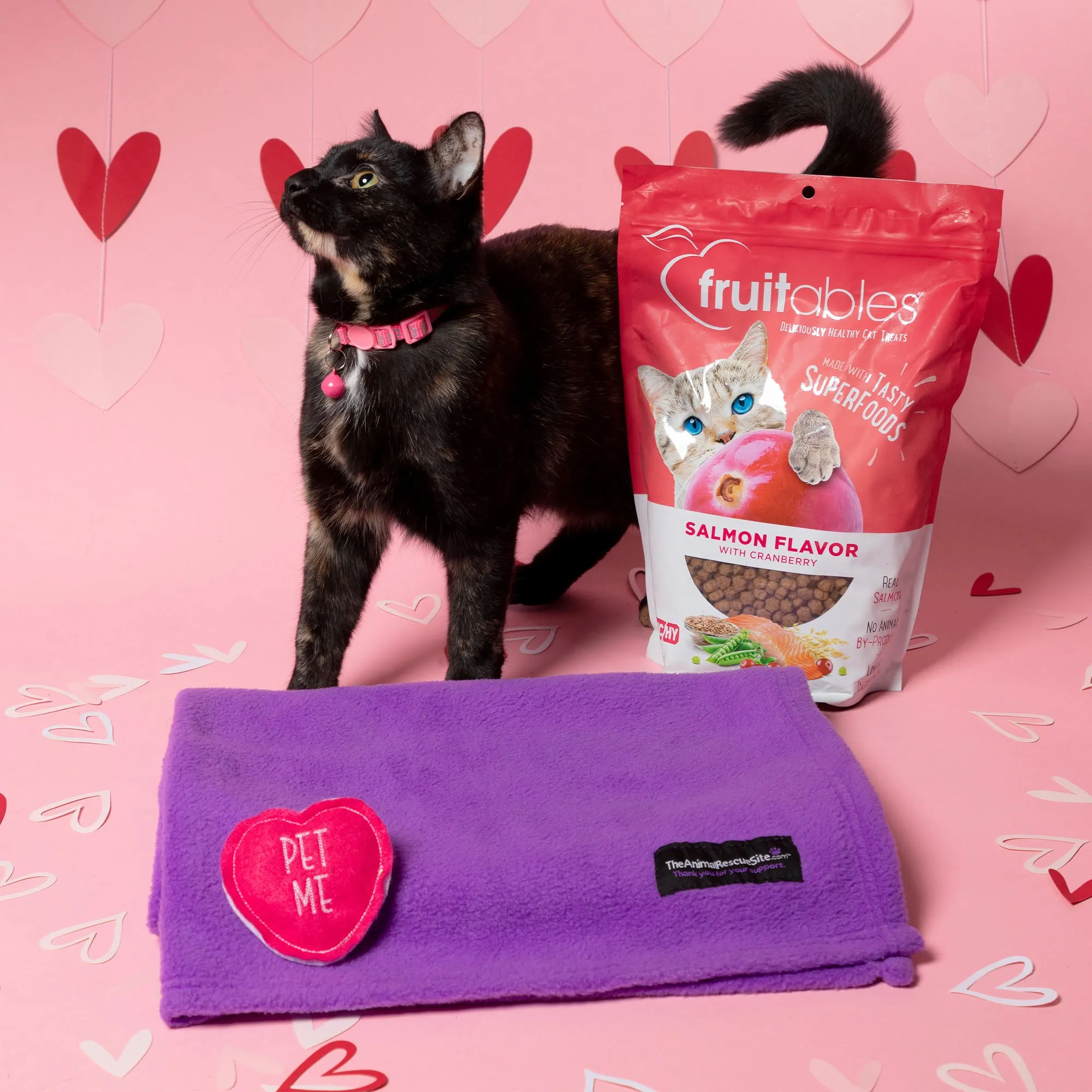 7th Annual Send a Valentine & Love To a Shelter Fur Baby