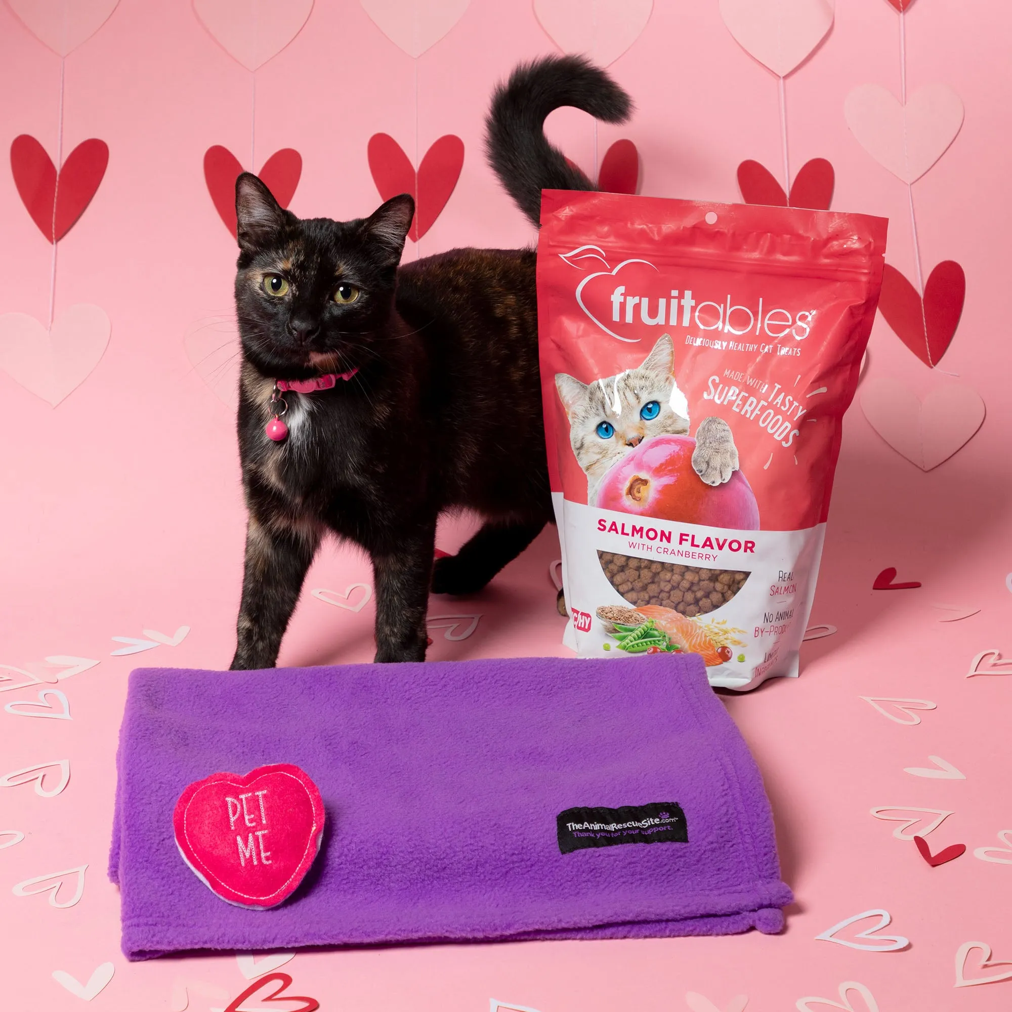 7th Annual Send a Valentine & Love To a Shelter Fur Baby