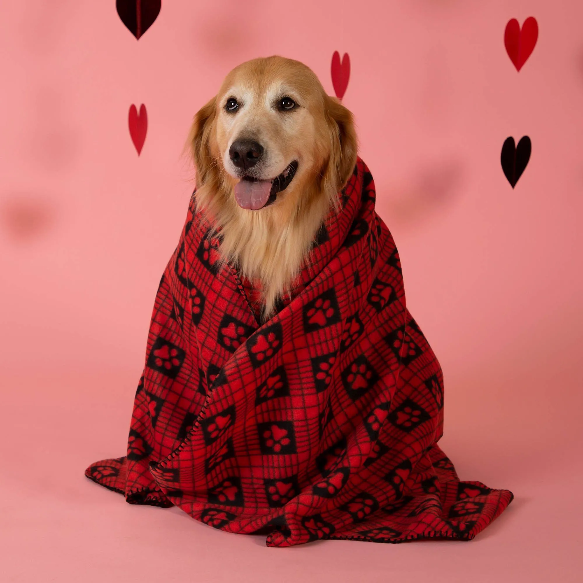 7th Annual Send a Valentine & Love To a Shelter Fur Baby