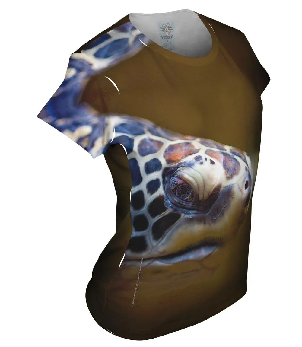 Aquarium Turtle