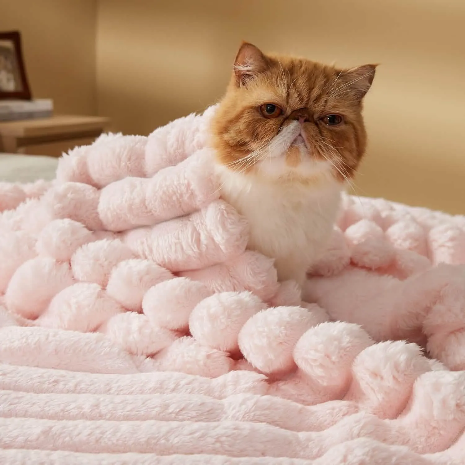 Bedsure Luxplush Striped Blanket