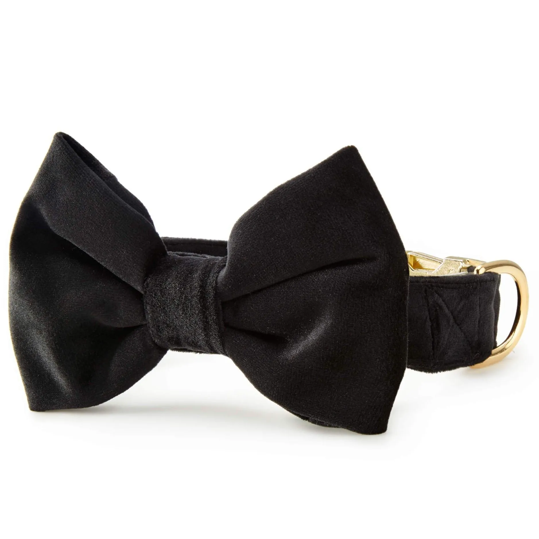 Black Velvet Bow Tie Collar