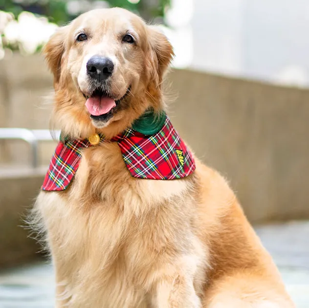 Capes - Forest Green Collar with Royal Tartan Print