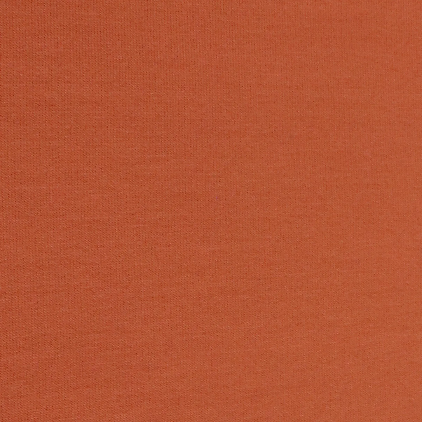 Cotton Sweatshirt Brushed Jersey - Rust Orange