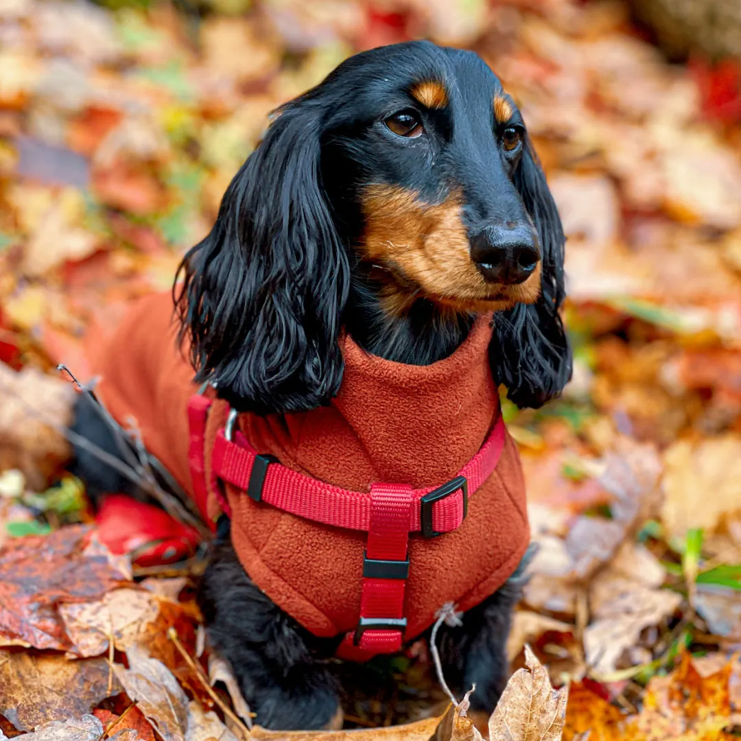 Dachshund Fleece Sweater