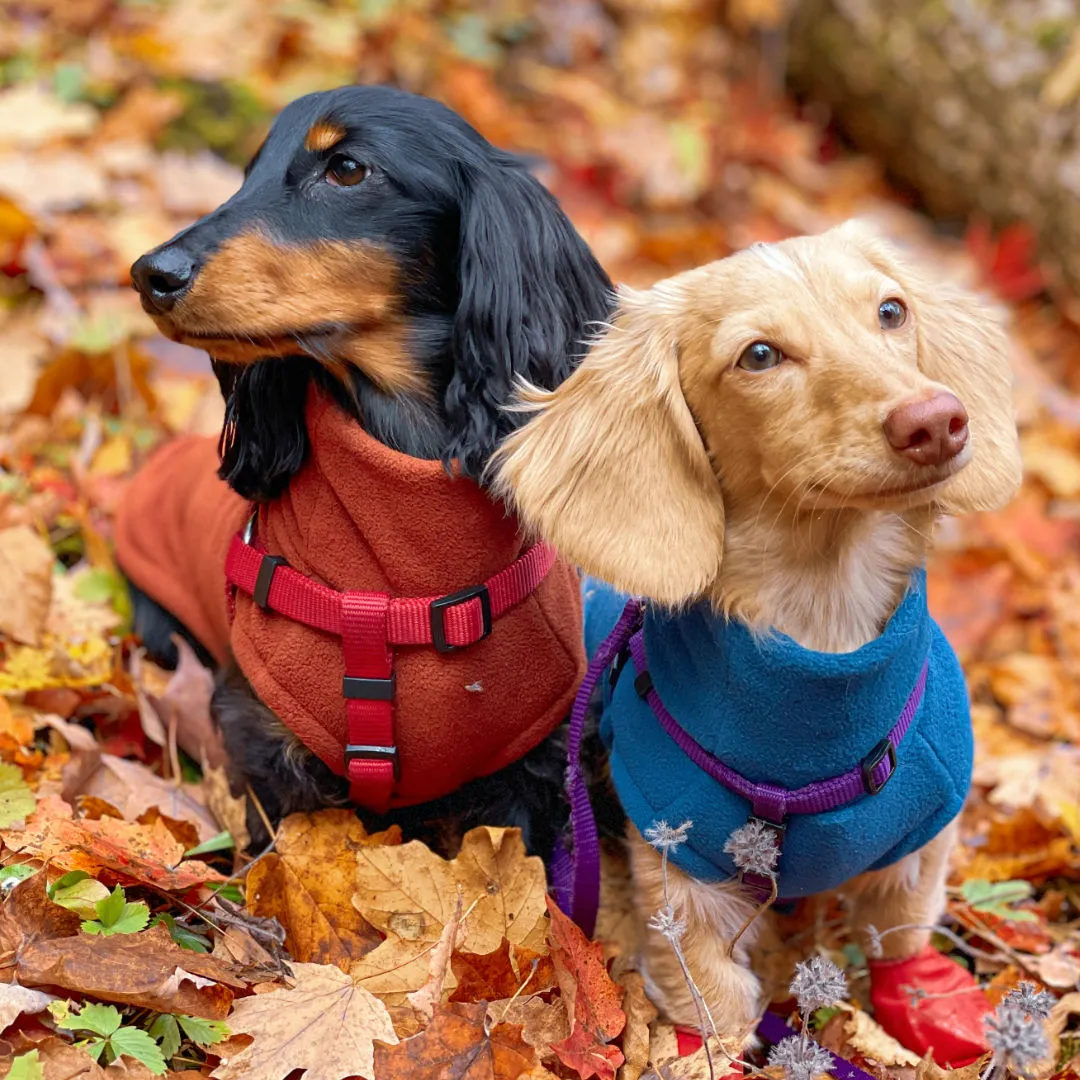 Dachshund Fleece Sweater