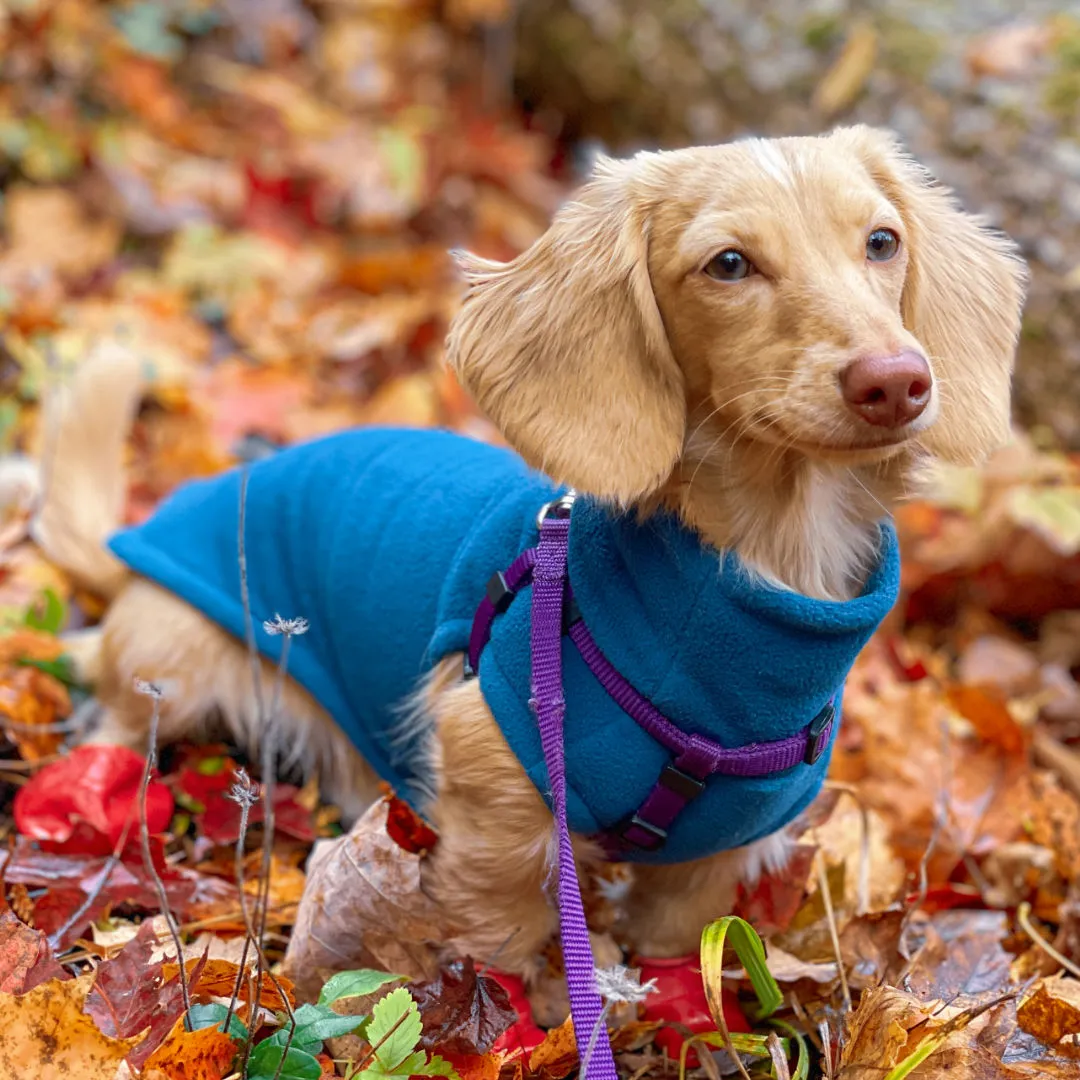 Dachshund Fleece Sweater