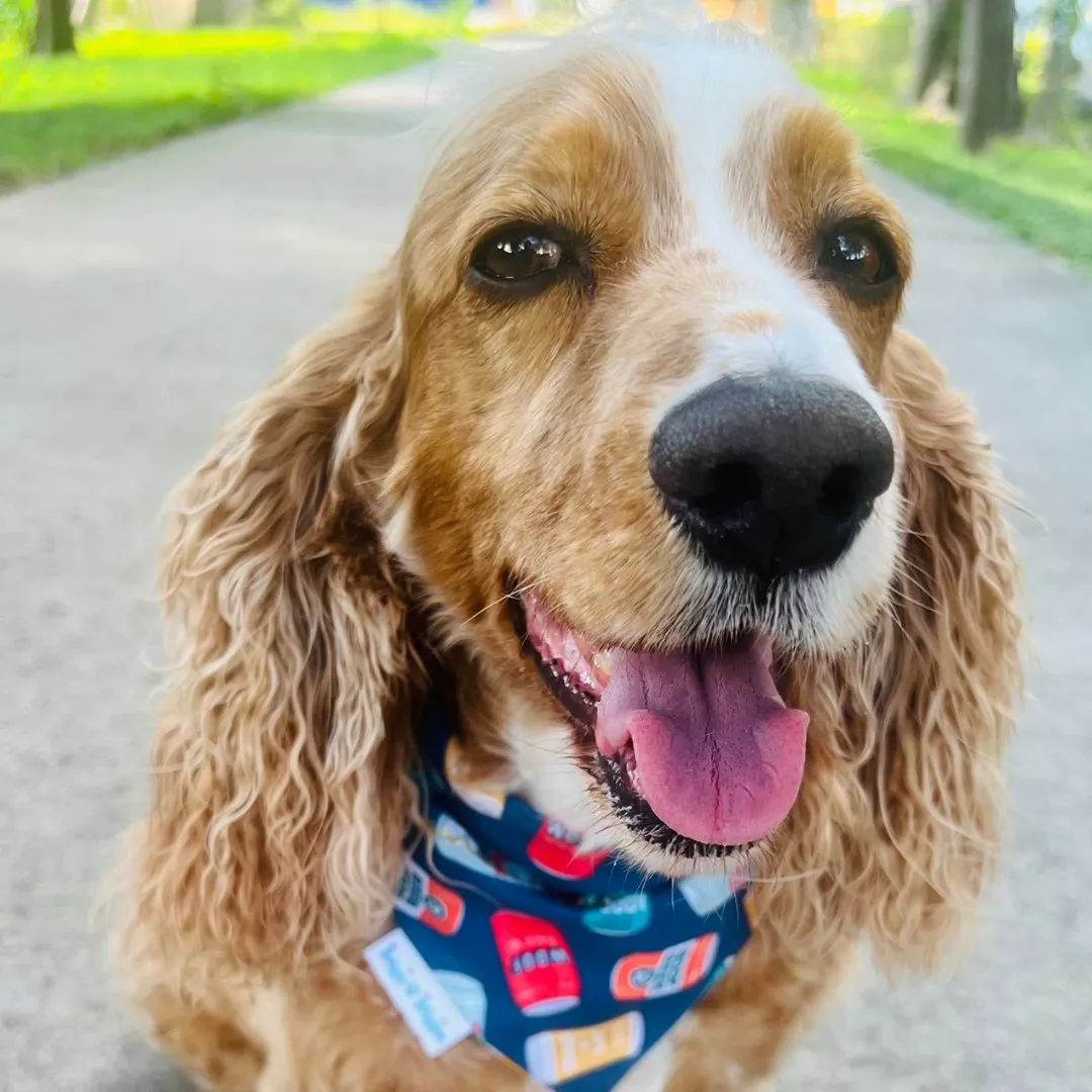 Dog Beer Reversible Dog Bandana