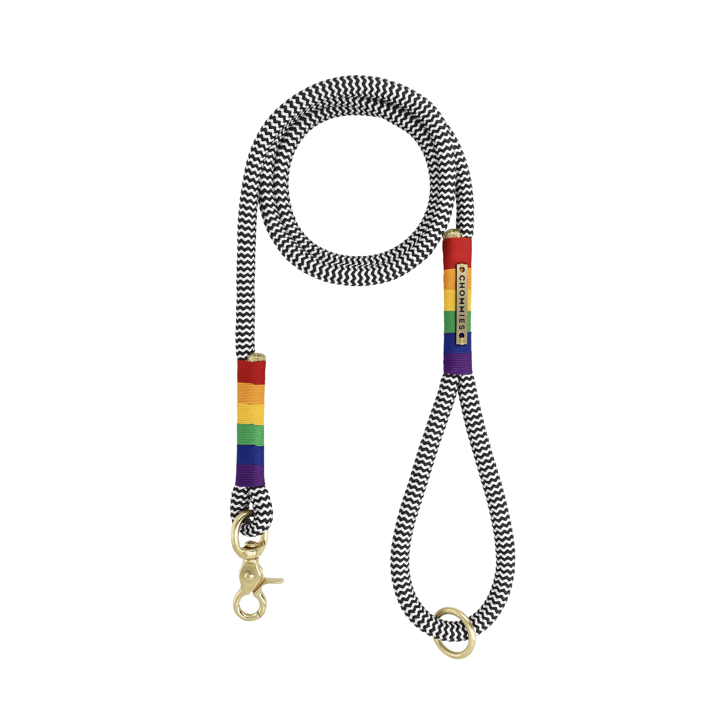 Everyday Dog Leash | Rainbow