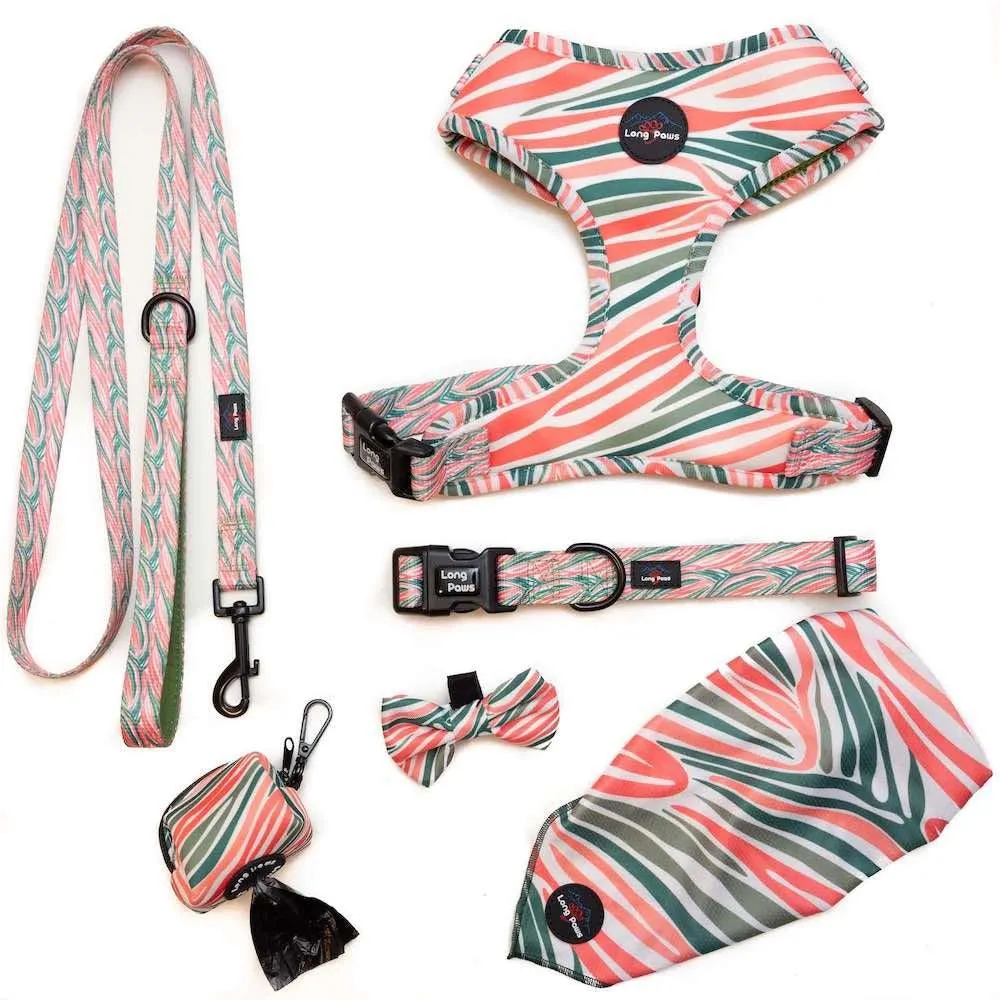 Funk The Dog Harness | PinkGreen Zebra