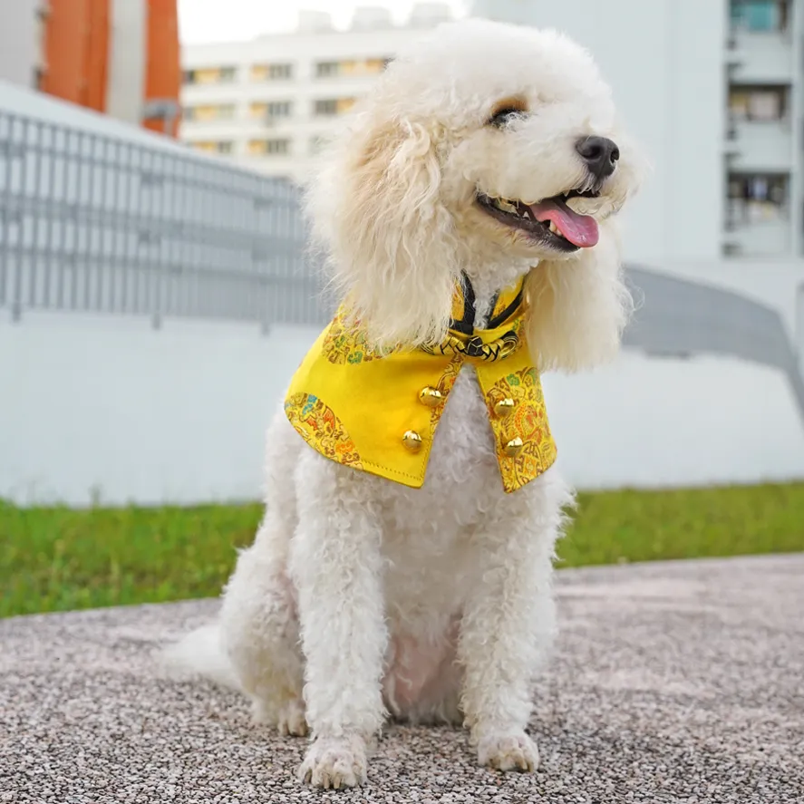 Golden Dragon High Collar CNY Cape