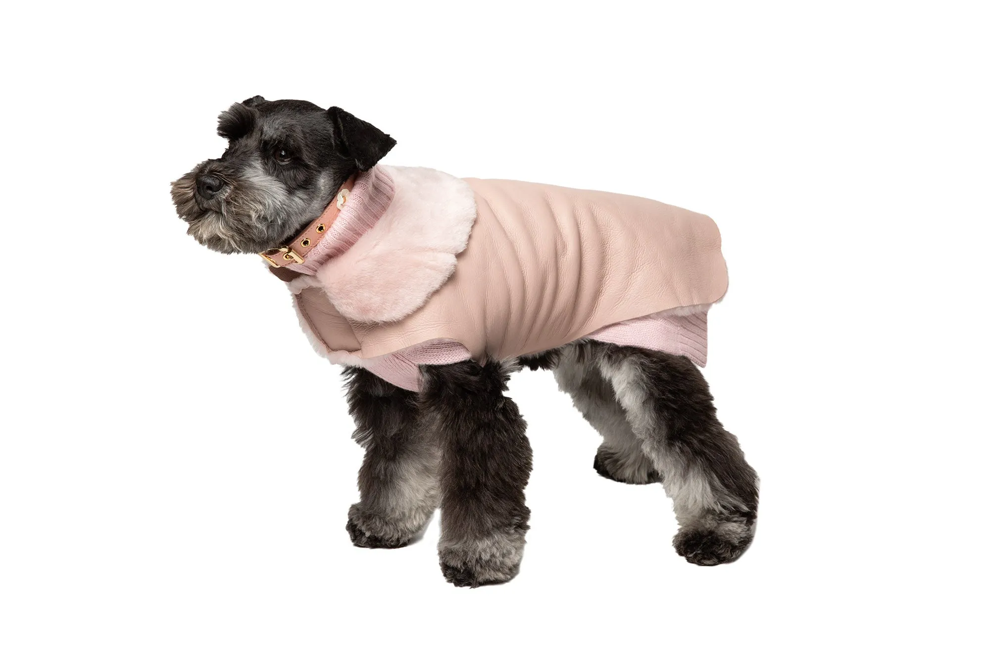 Hand-Cut Shearling Short Haired - Dog Coat - 4 Color Options