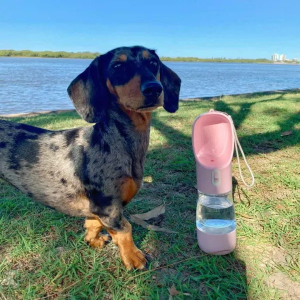 On-The-Go Water & Snack Bottle