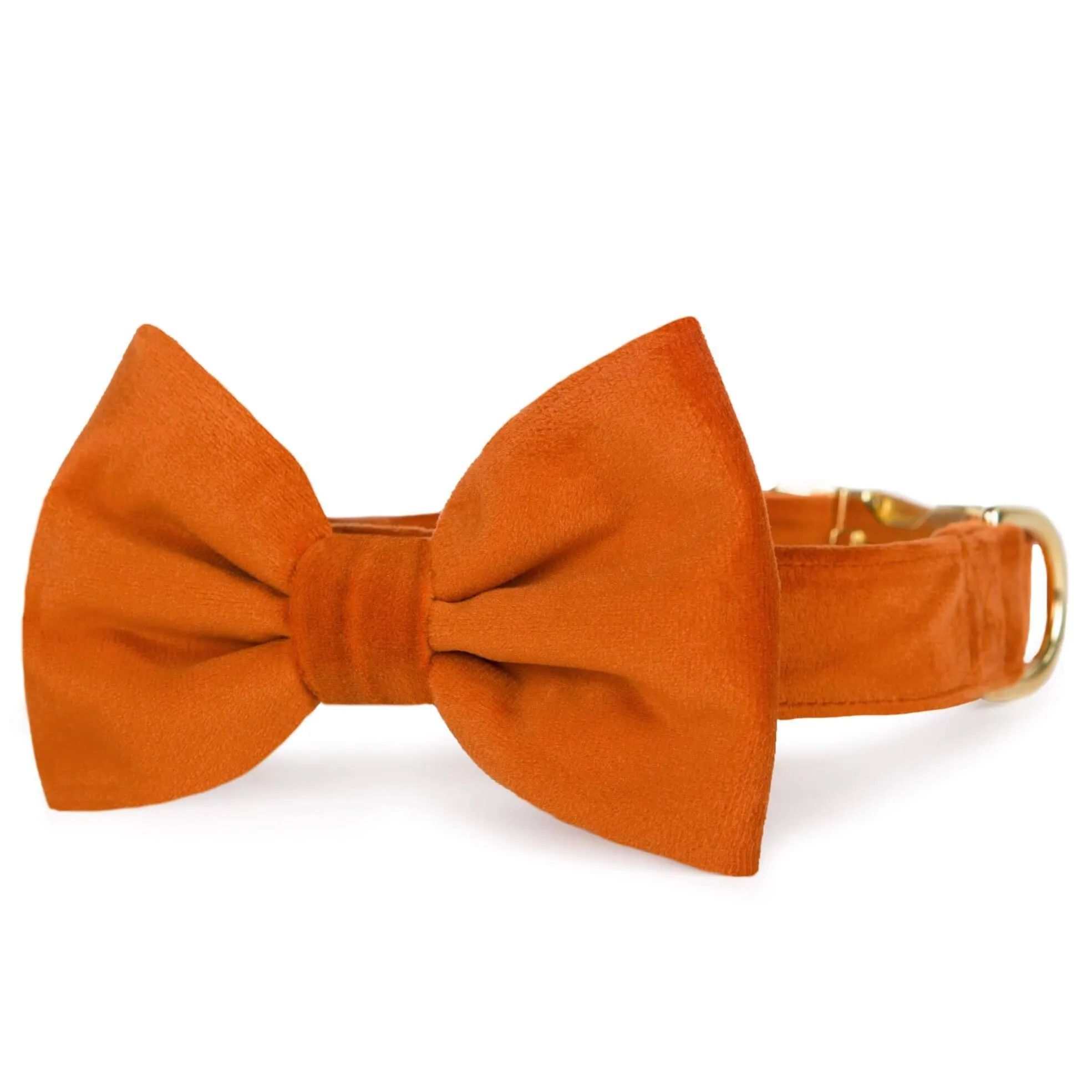 Pumpkin Velvet Bow Tie Collar