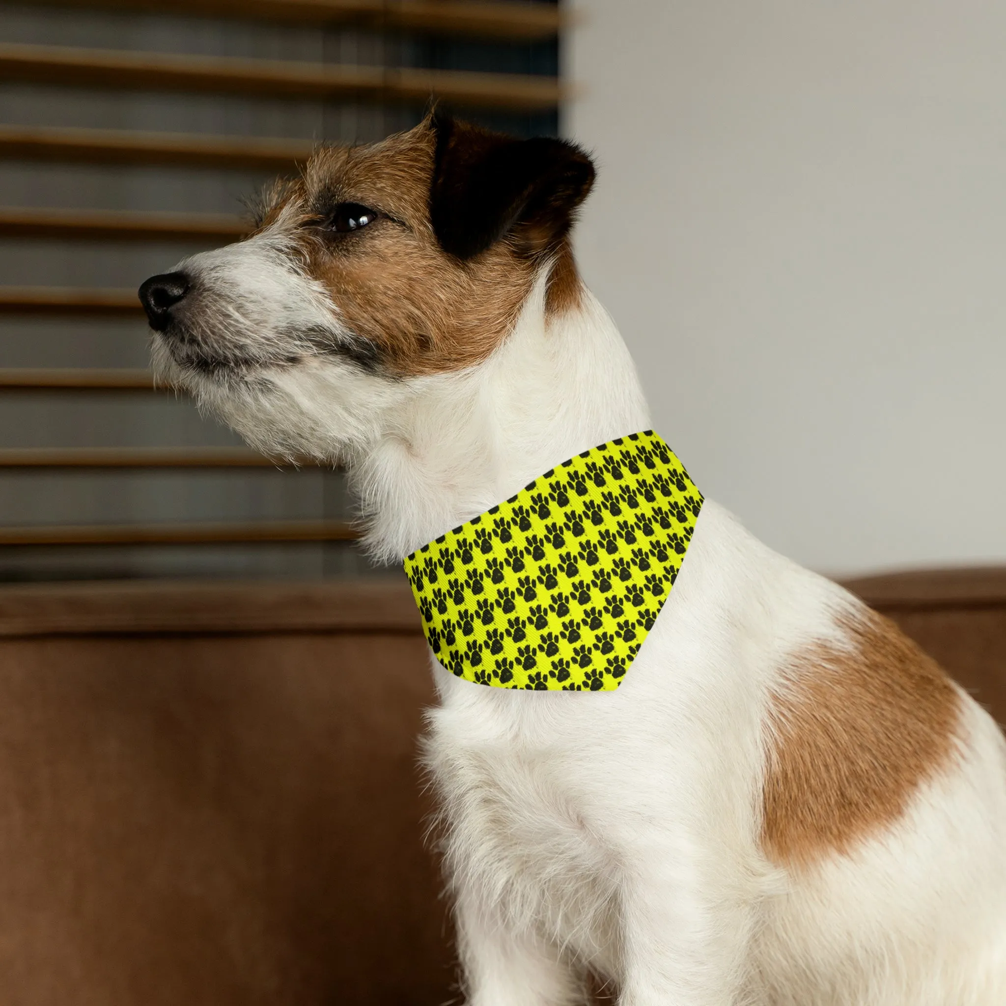 Qreative Pet Bandana Collar