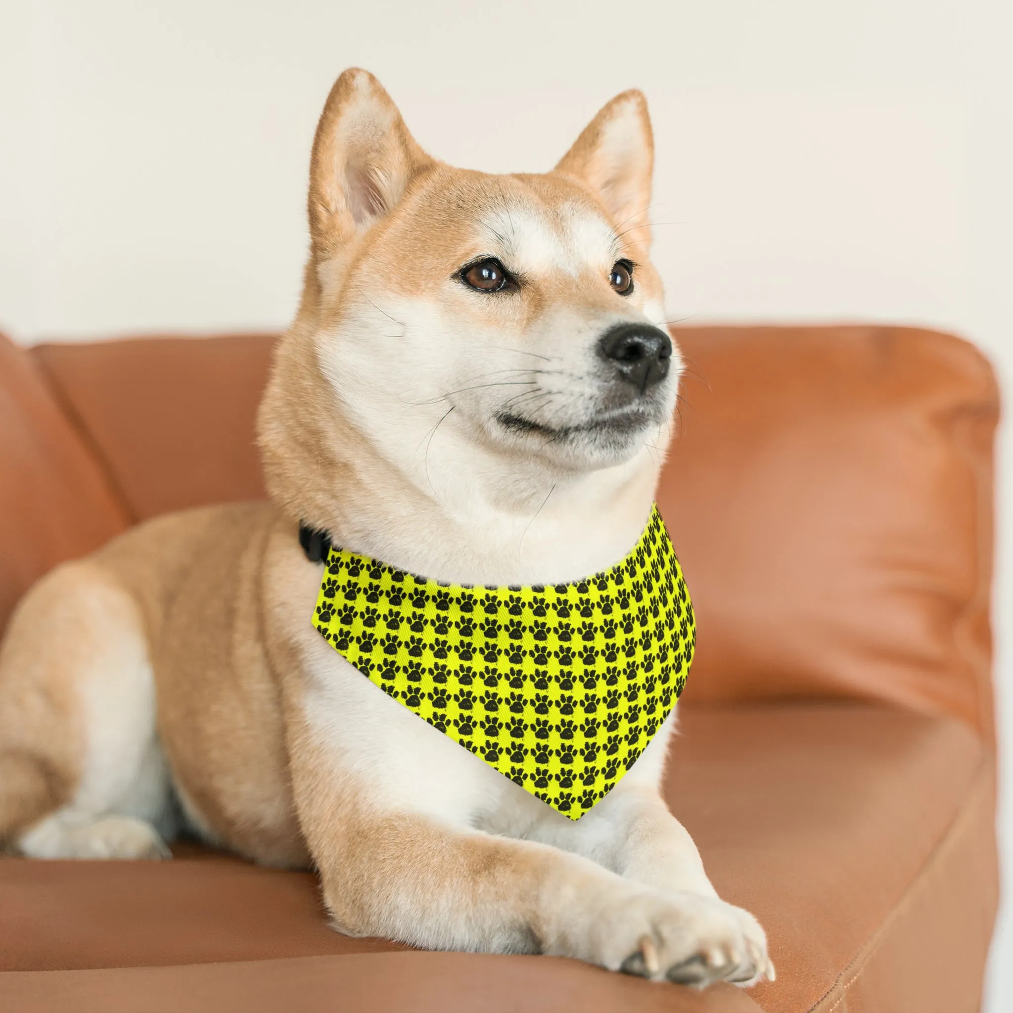 Qreative Pet Bandana Collar