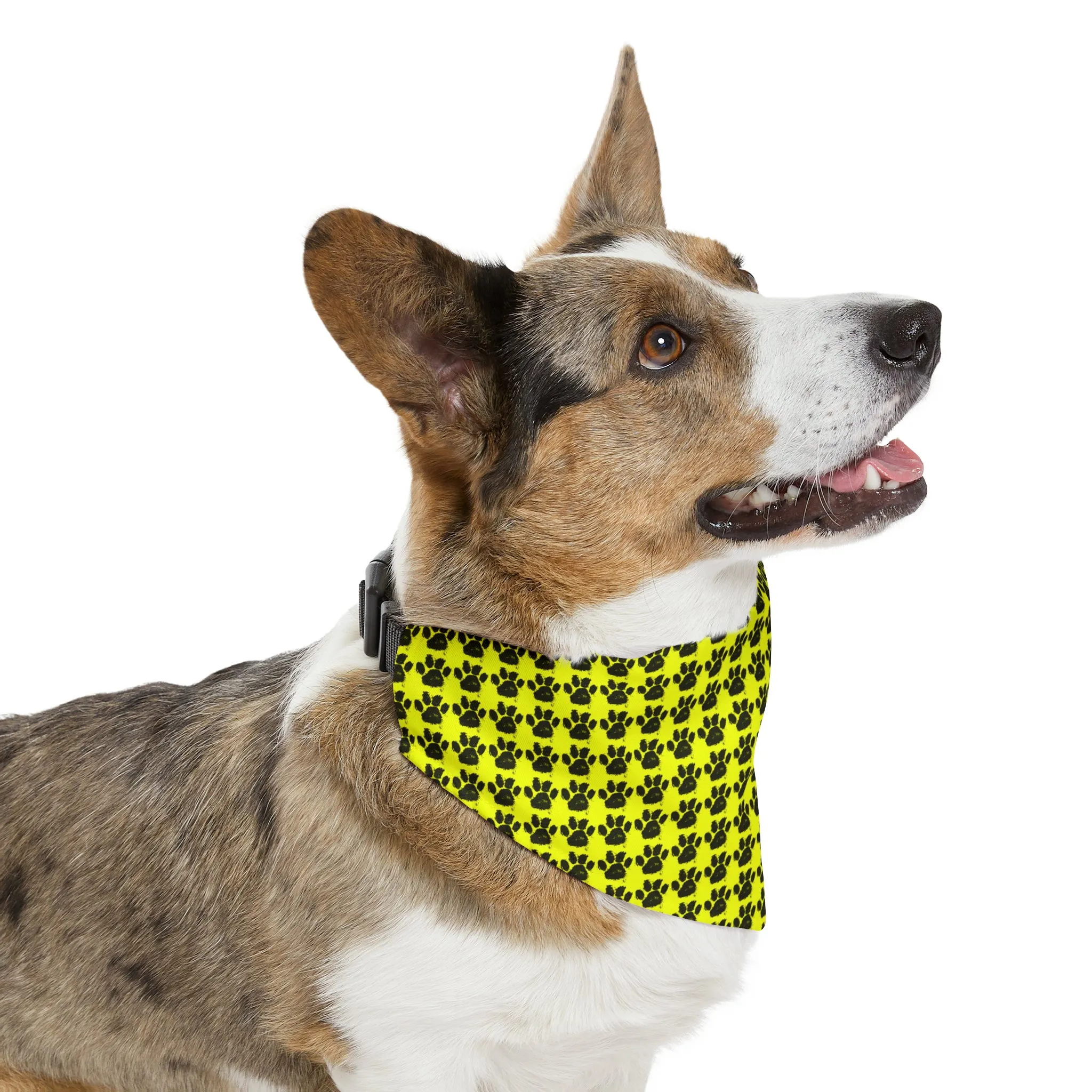 Qreative Pet Bandana Collar