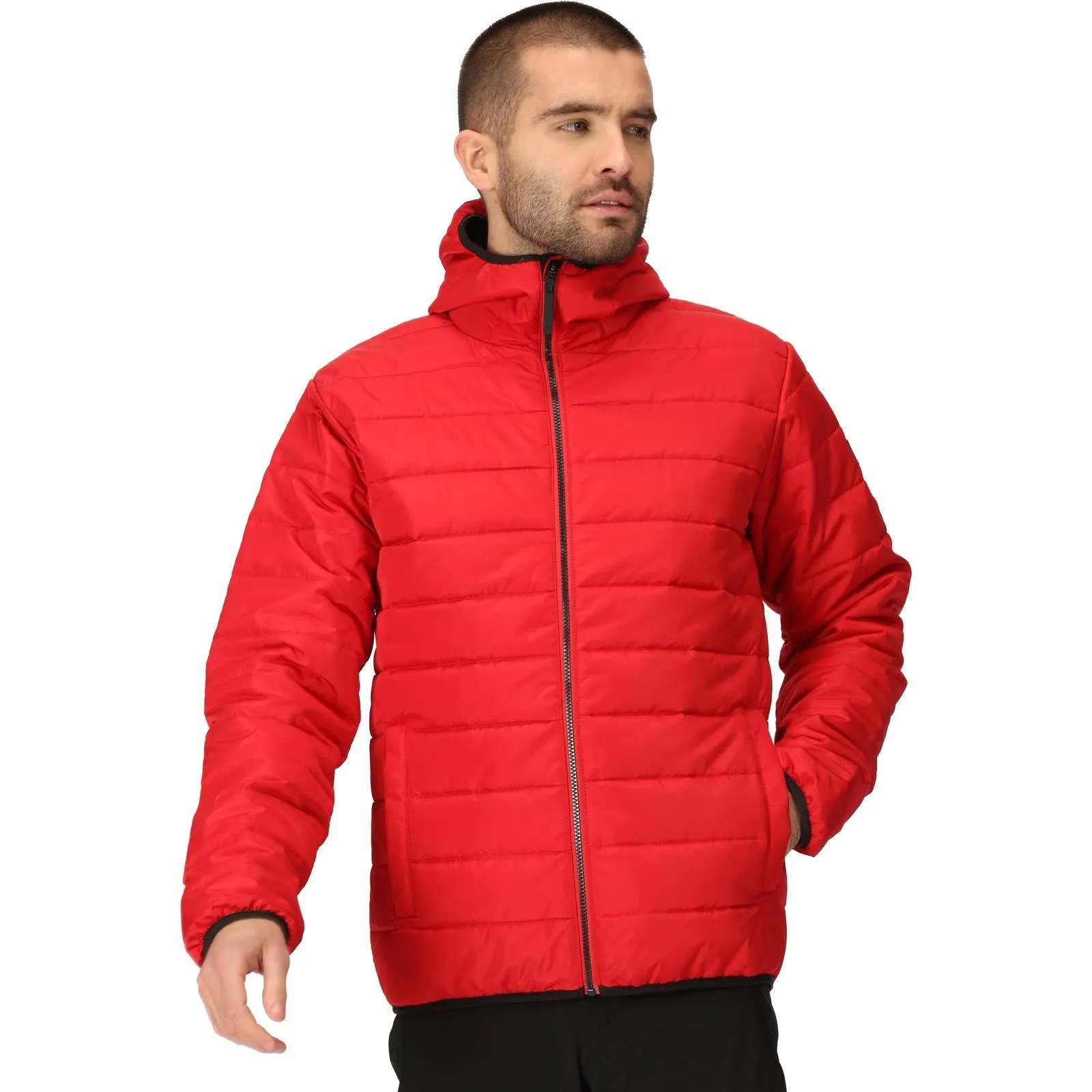 Regatta Mens Helfa Insulated Quilted Jacket