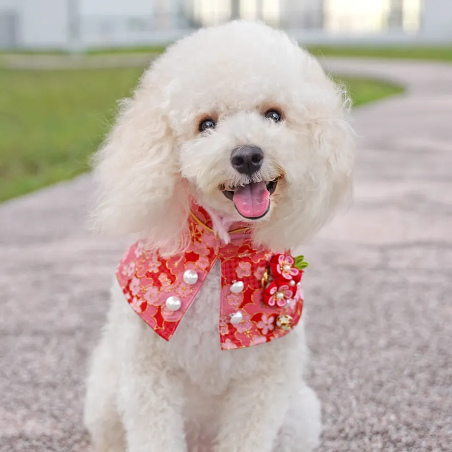 Spring Blossoms CNY Cape with Baby Pink Fur Trimmings