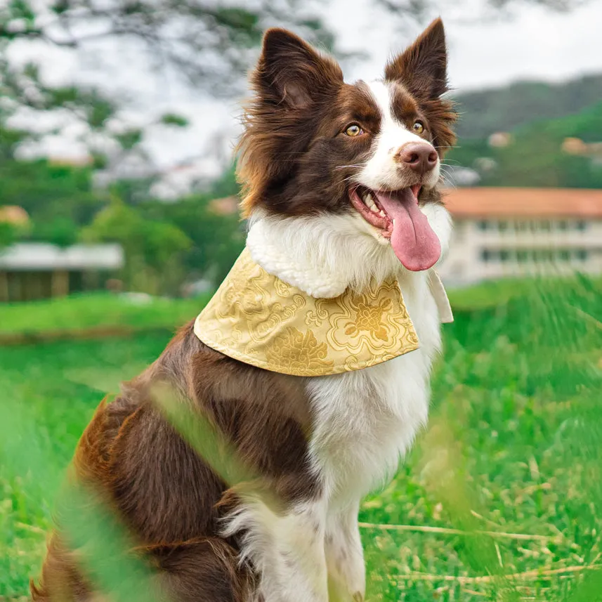 Spring Of Blessings in Tuscan Gold CNY Cape with Faux Fur Collar