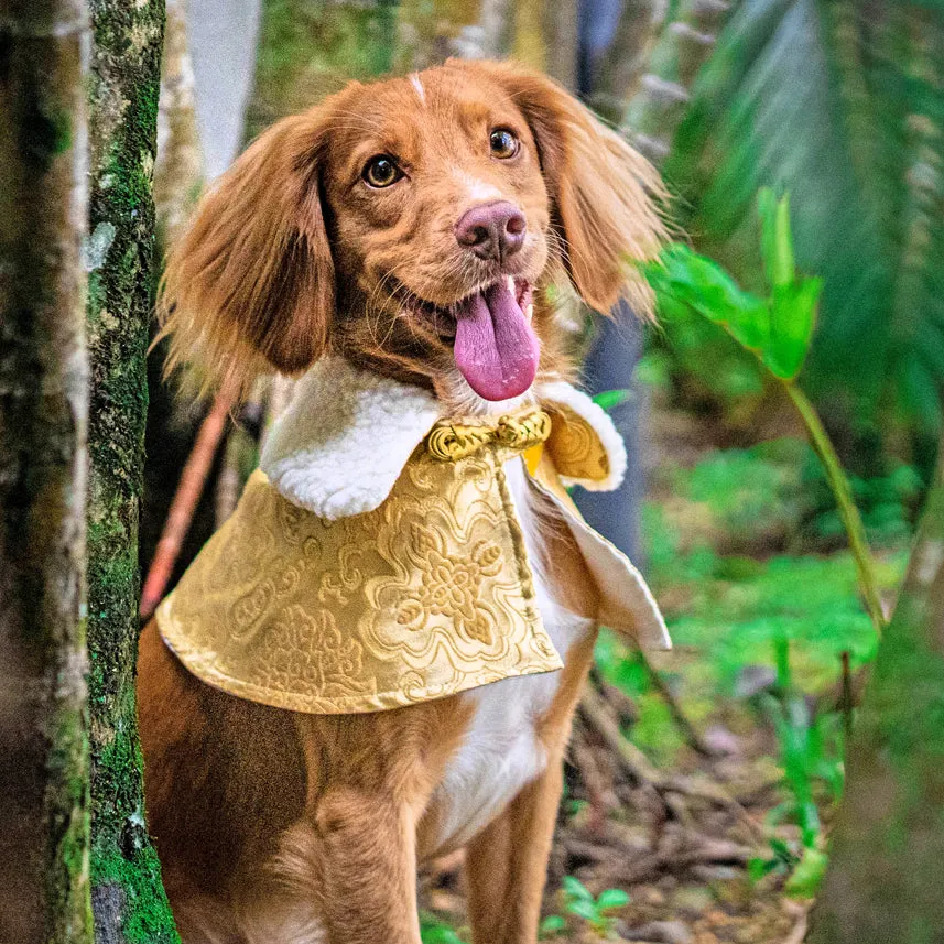 Spring Of Blessings in Tuscan Gold CNY Cape with Faux Fur Collar