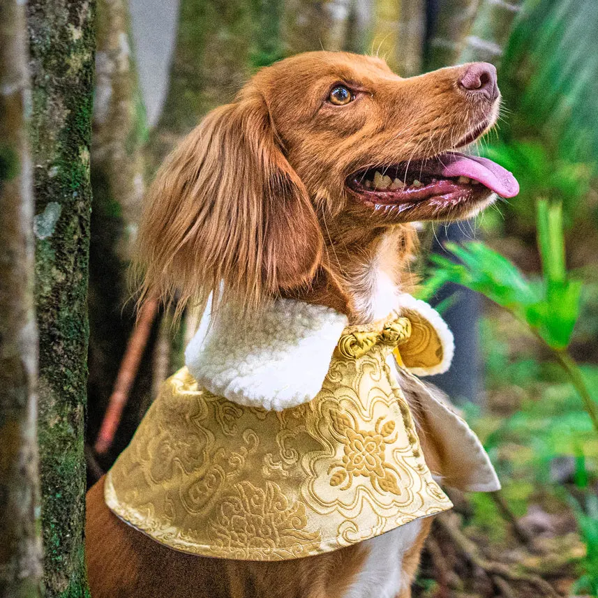 Spring Of Blessings in Tuscan Gold CNY Cape with Faux Fur Collar