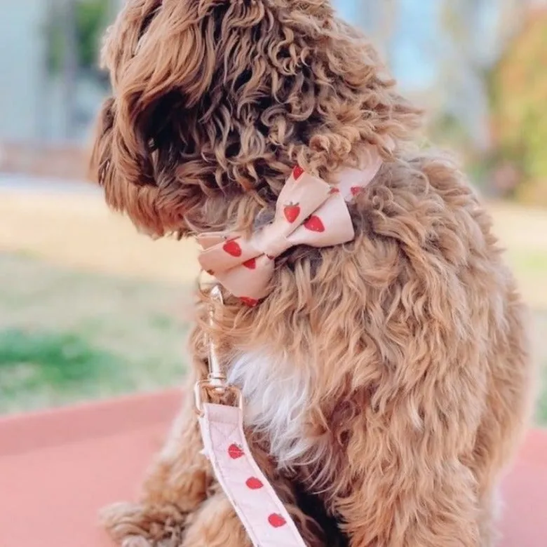 Strawberry Bowtie Unbreakable Collar™ & Leash Set